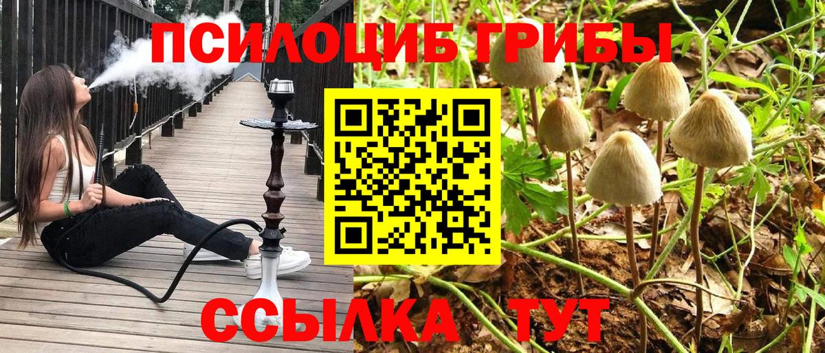 Галлюциногенные грибы Cubensis Саянск